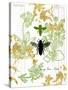 Garden Botanicals & Bees-Devon Ross-Stretched Canvas