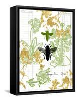 Garden Botanicals & Bees-Devon Ross-Framed Stretched Canvas