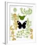 Garden Botanicals & Butterflies-Devon Ross-Framed Art Print