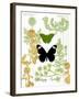 Garden Botanicals & Butterflies-Devon Ross-Framed Art Print