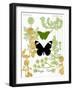 Garden Botanicals & Butterflies-Devon Ross-Framed Art Print