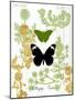 Garden Botanicals & Butterflies-Devon Ross-Mounted Art Print