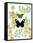 Garden Botanicals & Butterflies-Devon Ross-Framed Stretched Canvas