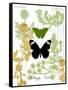 Garden Botanicals & Butterflies-Devon Ross-Framed Stretched Canvas