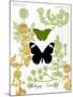 Garden Botanicals & Butterflies-Devon Ross-Mounted Art Print