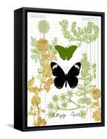 Garden Botanicals & Butterflies-Devon Ross-Framed Stretched Canvas
