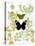 Garden Botanicals & Butterflies-Devon Ross-Stretched Canvas