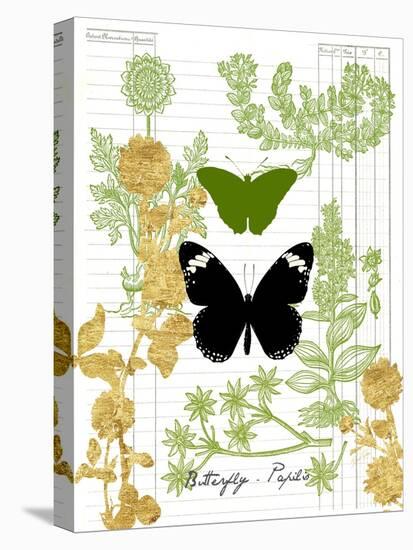 Garden Botanicals & Butterflies-Devon Ross-Stretched Canvas