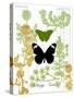 Garden Botanicals & Butterflies-Devon Ross-Stretched Canvas