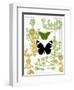 Garden Botanicals & Butterflies-Devon Ross-Framed Art Print