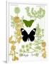 Garden Botanicals & Butterflies-Devon Ross-Framed Art Print