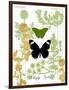 Garden Botanicals & Butterflies-Devon Ross-Framed Art Print