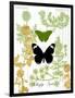 Garden Botanicals & Butterflies-Devon Ross-Framed Art Print