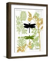 Garden Botanicals & Dragonflies-Devon Ross-Framed Art Print