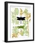 Garden Botanicals & Dragonflies-Devon Ross-Framed Art Print