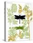 Garden Botanicals & Dragonflies-Devon Ross-Stretched Canvas