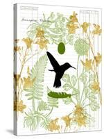 Garden Botanicals & Hummingbird-Devon Ross-Stretched Canvas