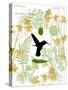 Garden Botanicals & Hummingbird-Devon Ross-Stretched Canvas