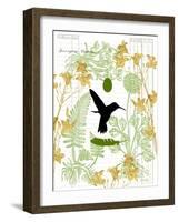 Garden Botanicals & Hummingbird-Devon Ross-Framed Art Print