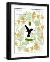 Garden Botanicals & Hummingbird-Devon Ross-Framed Art Print