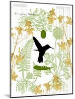 Garden Botanicals & Hummingbird-Devon Ross-Mounted Art Print