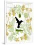 Garden Botanicals & Hummingbird-Devon Ross-Framed Art Print