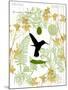 Garden Botanicals & Hummingbird-Devon Ross-Mounted Art Print