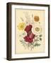 Garden Bouquet II-Jane W. Loudon-Framed Art Print