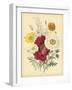 Garden Bouquet II-Jane W. Loudon-Framed Art Print