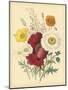 Garden Bouquet II-Jane W. Loudon-Mounted Art Print