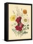 Garden Bouquet II-Jane W. Loudon-Framed Stretched Canvas