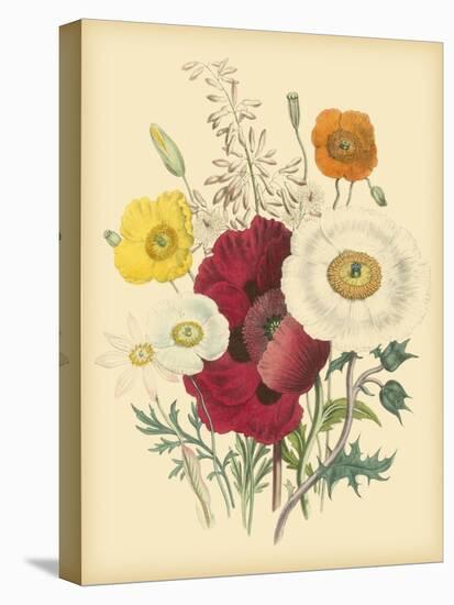 Garden Bouquet II-Jane W. Loudon-Stretched Canvas