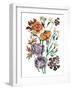 Garden Bouquets I-Ania Zwara-Framed Art Print