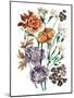 Garden Bouquets I-Ania Zwara-Mounted Art Print