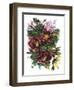 Garden Bouquets II-Ania Zwara-Framed Art Print