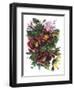 Garden Bouquets II-Ania Zwara-Framed Art Print