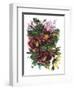 Garden Bouquets II-Ania Zwara-Framed Art Print