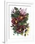 Garden Bouquets II-Ania Zwara-Framed Art Print