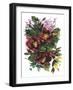 Garden Bouquets II-Ania Zwara-Framed Art Print