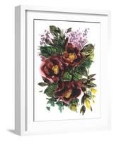 Garden Bouquets II-Ania Zwara-Framed Art Print