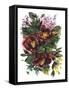 Garden Bouquets II-Ania Zwara-Framed Stretched Canvas