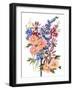 Garden Bouquets III-Ania Zwara-Framed Art Print