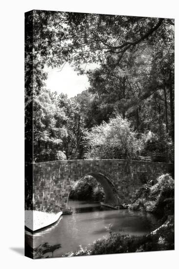 Garden Bridge I-Alan Hausenflock-Stretched Canvas