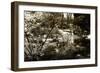 Garden Bridge II-Alan Hausenflock-Framed Photographic Print