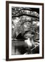 Garden Bridge II-Alan Hausenflock-Framed Photographic Print