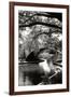 Garden Bridge II-Alan Hausenflock-Framed Photographic Print