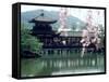 Garden Bridge of Heian-Jingu Shrine in Spring, Kyoto, Japan-null-Framed Stretched Canvas