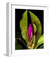 Garden Bud pink brown I-null-Framed Premium Giclee Print