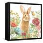 Garden Bunnies IV-Leslie Trimbach-Framed Stretched Canvas