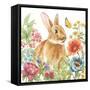 Garden Bunnies V-Leslie Trimbach-Framed Stretched Canvas